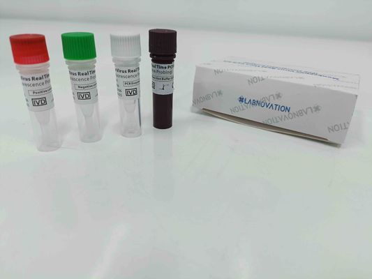 jakość  Real Time Monkeypox PCR Test Kit With Positive / Negative Control fabryka