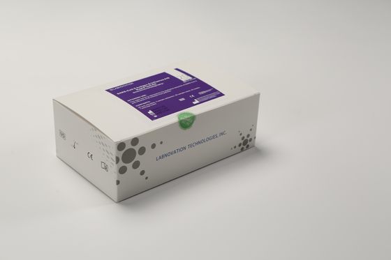 Labnovation 20 Test Influenza AB Test Kit do wczesnego leczenia